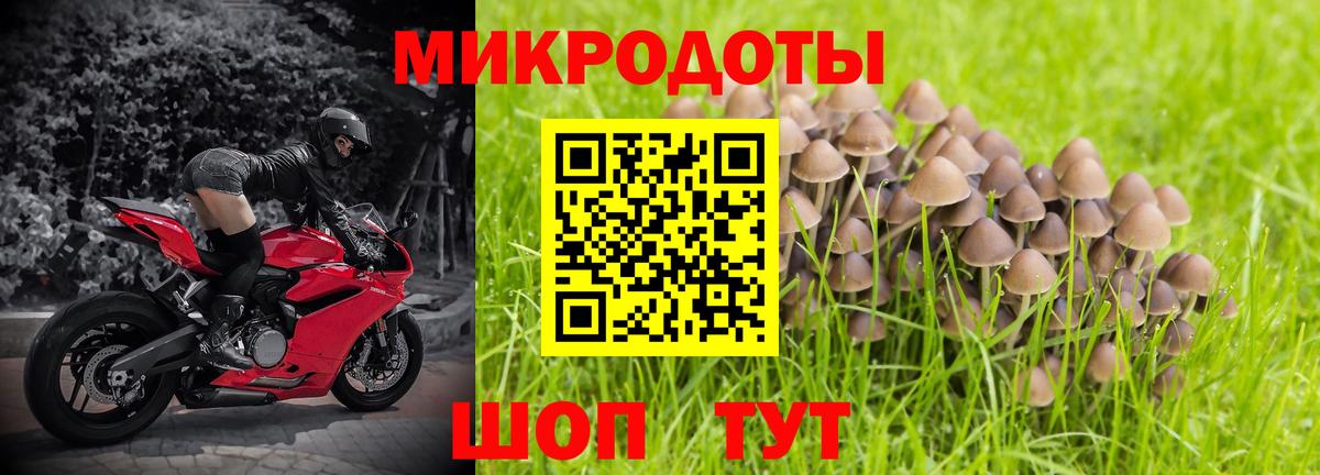 Галлюциногенные грибы Magic Shrooms Долгопрудный