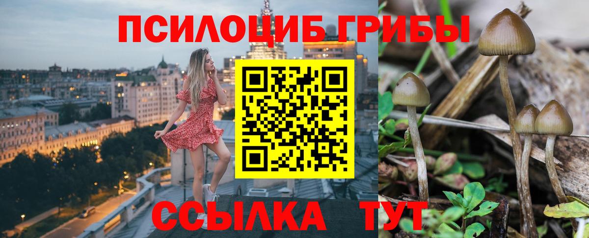 Псилоцибиновые грибы MAGIC MUSHROOMS  Вход с VPN  Галлюциногенные грибы Magic Shrooms  Долгопрудный 